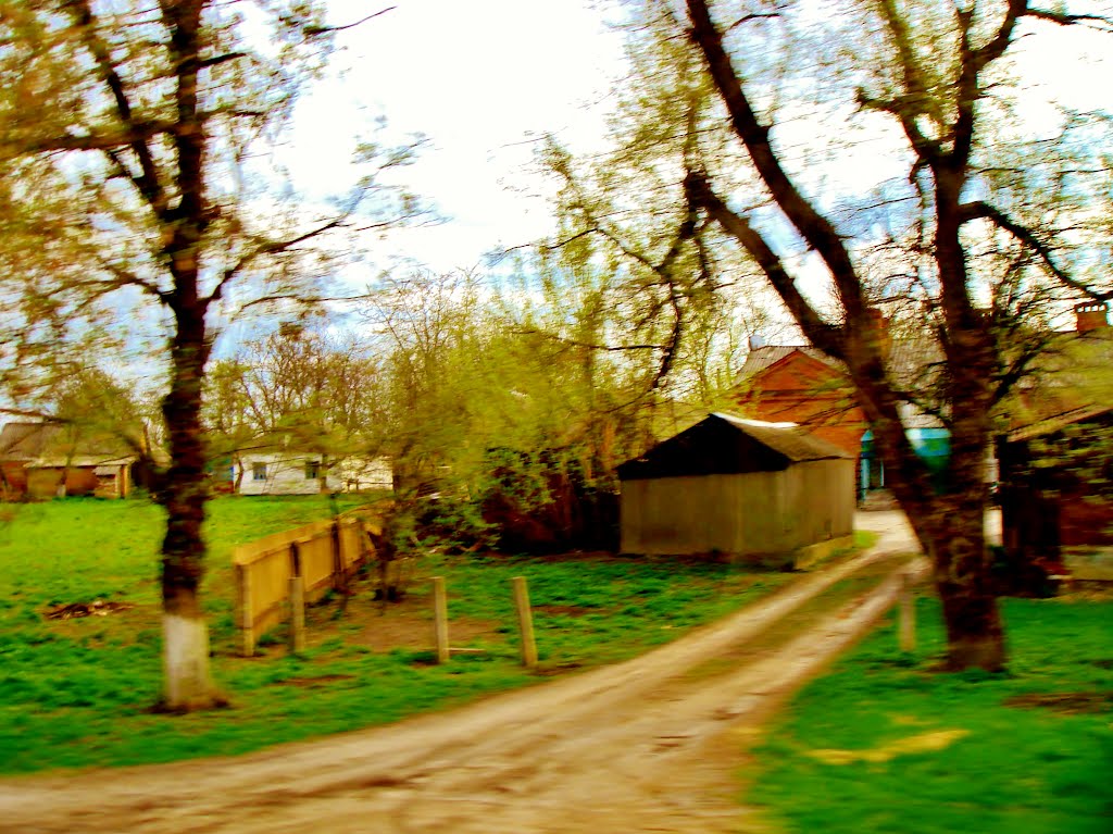 23.04.2012 17:22  Дорога Р04. Ул.Белоцерковская. Улочки города Тараща.
