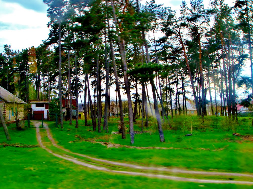23.04.2012 17:28  Дорога Р04. Улица Розы Люксембург. Гребенка.