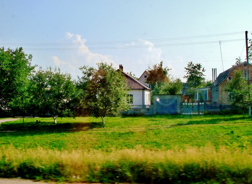 10.06.2012 17:27  Дорога Р-04. Белоцерковская улица. Скверы перед домами.