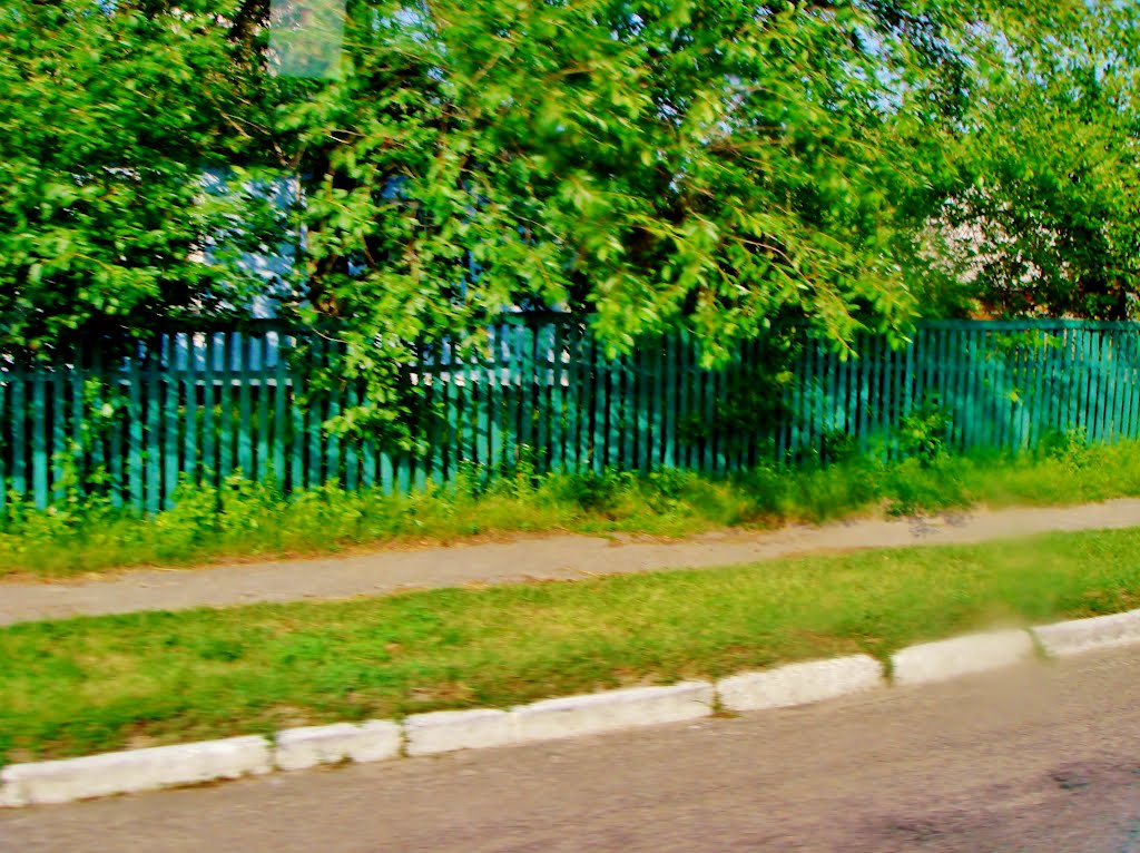 10.06.2012 17:32  Дорога Р-04. Тенистые усадьбы по улице Розы Люксембург.
