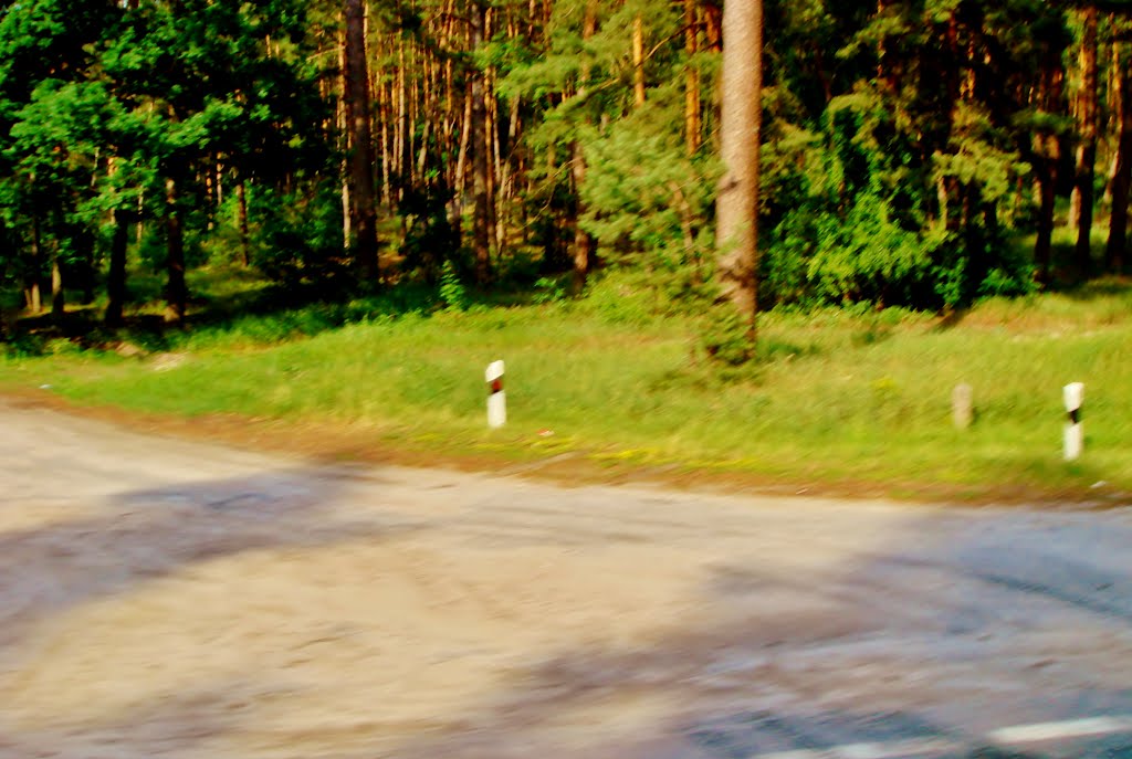 10.06.2012 17:33  Дорога Р-04. Выездная дорога с леса.