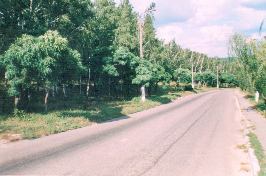 Tetiiv