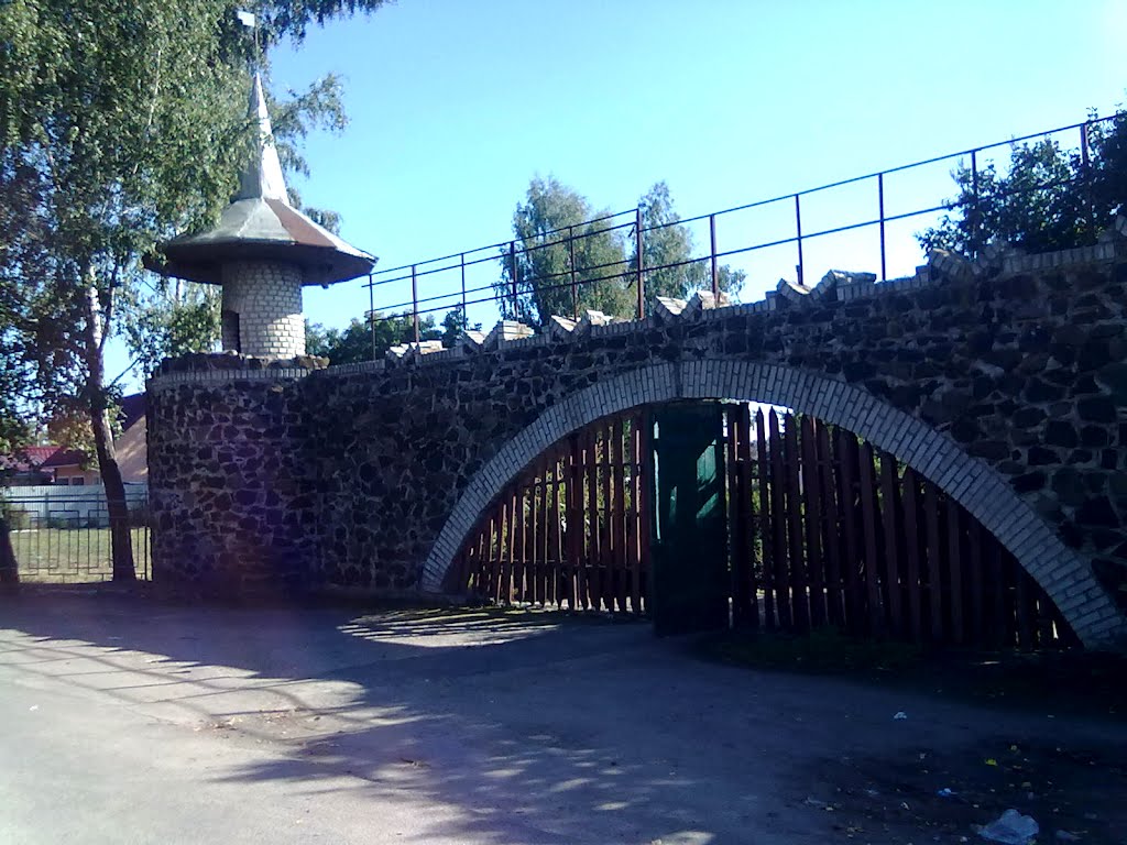 Носики Курносики