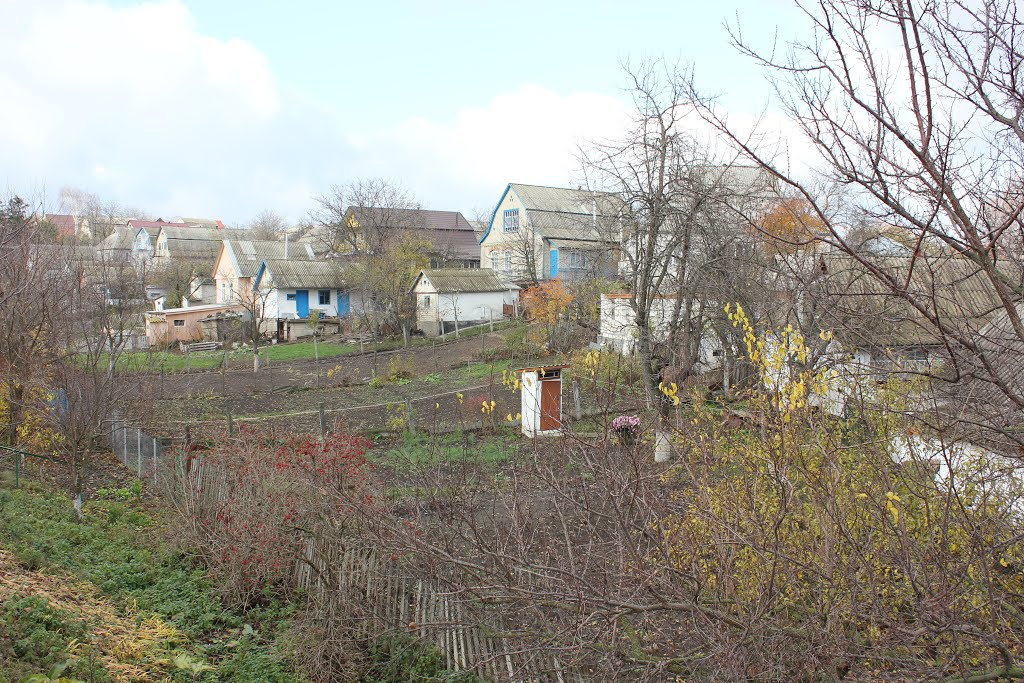 Tetiiv (November 2012)