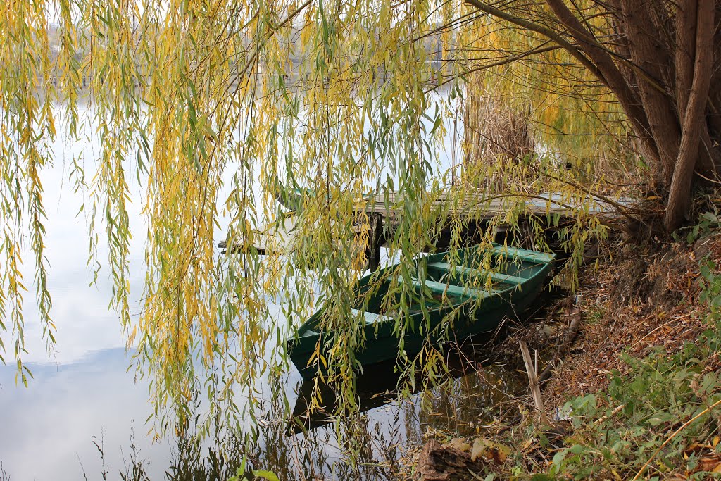 November 2012