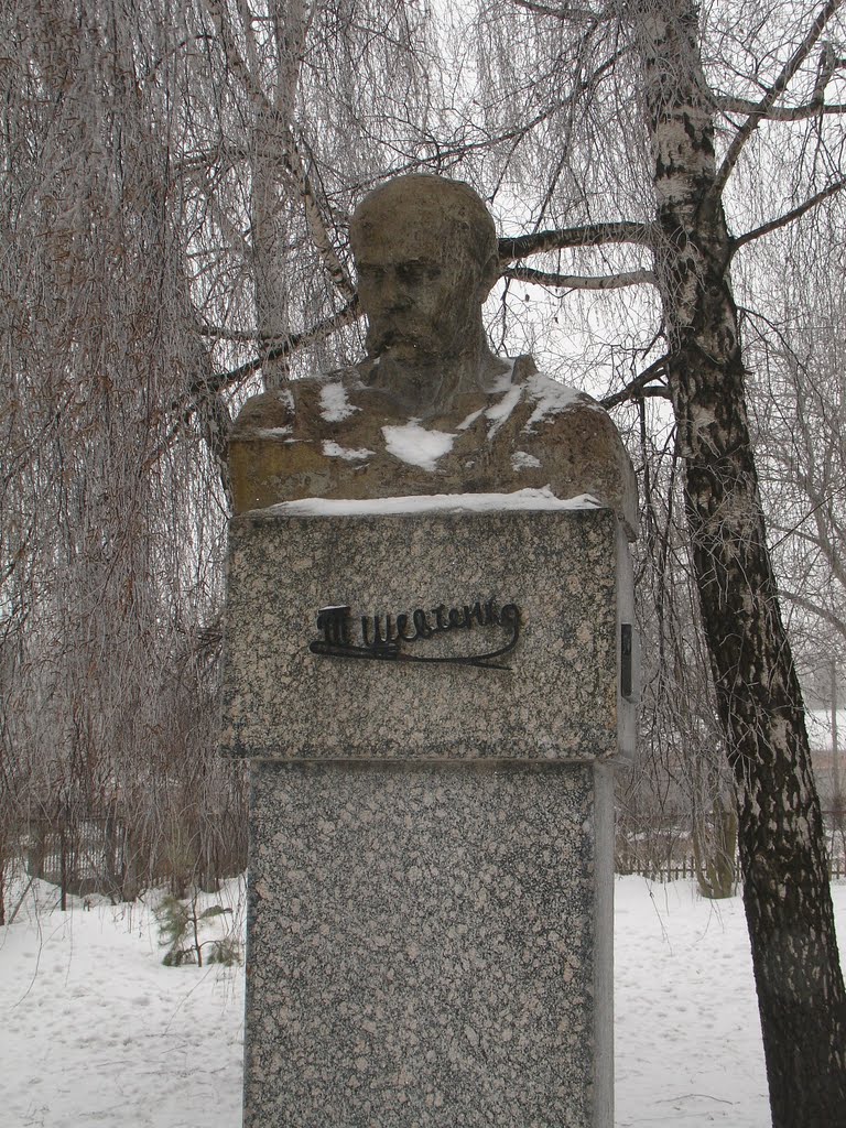 Шевченко у школы