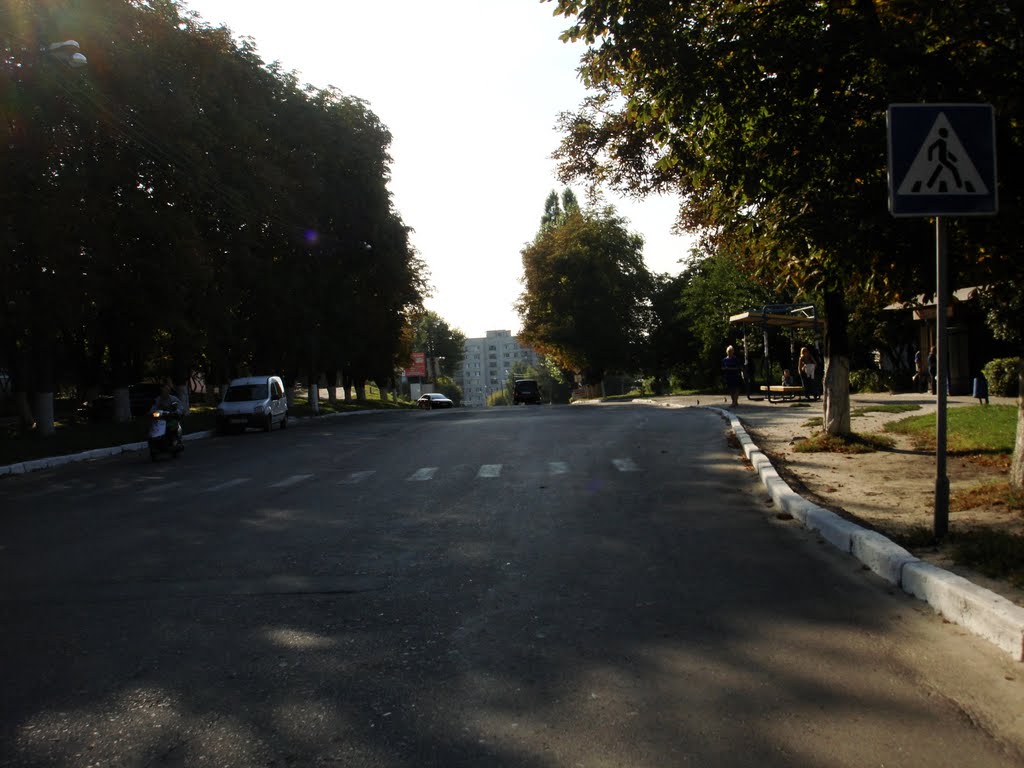 улица в Фастове