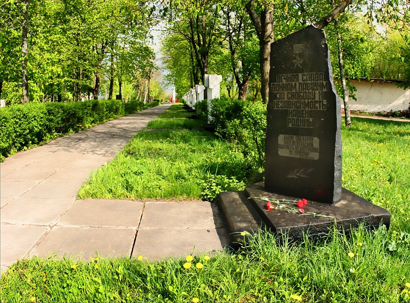 Памятный знак воинам, павшим за свободу и независимость Родины в парке Славы, г.Чернобыль, (автор Т.Мисковец)   )