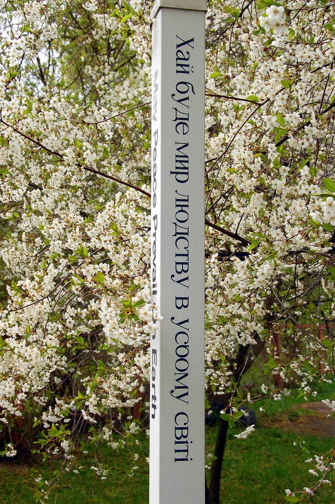 Small monument at Chernobyl, the inscription: "Let there be peace for mankind in whole world"