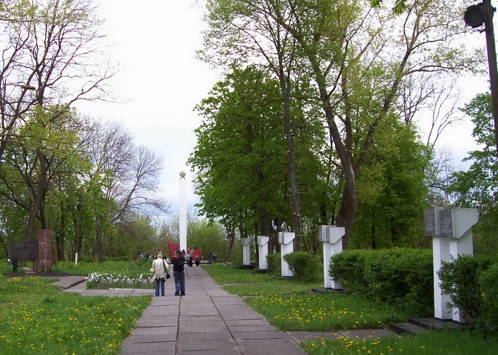 Аллея в Парке славы. Чернобыль / Alley in Park of Glory. Chernobyl