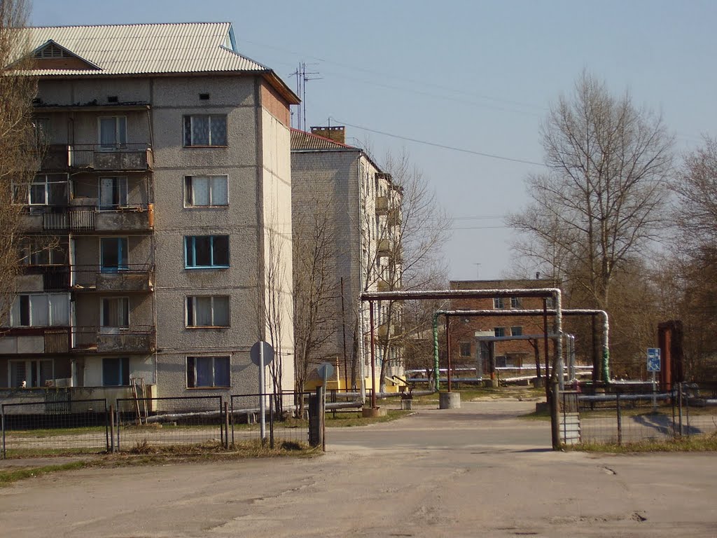 Street