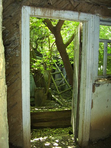 The left house in Chernobyl