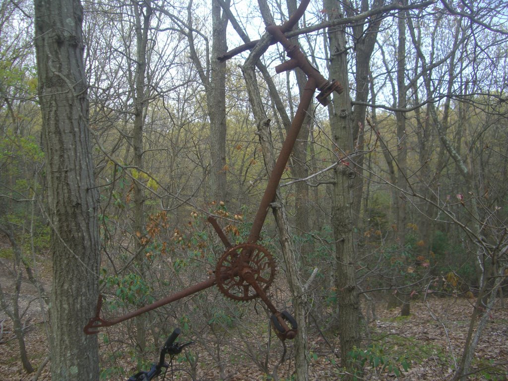 Rusted childhood dreams