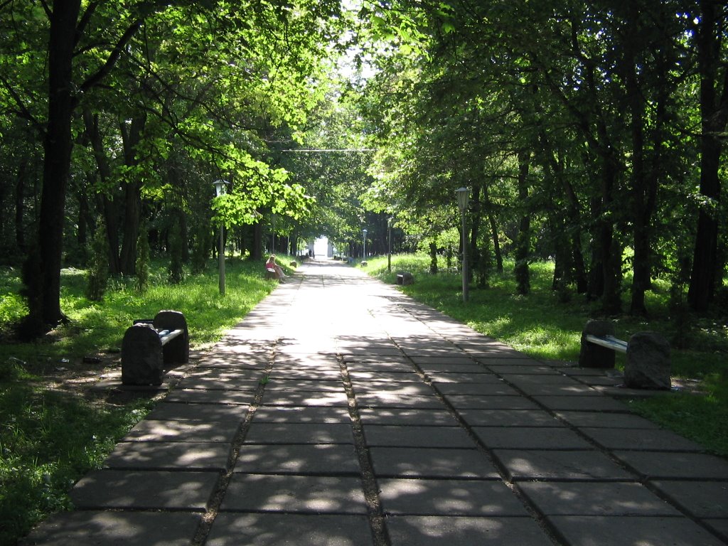Алея слави