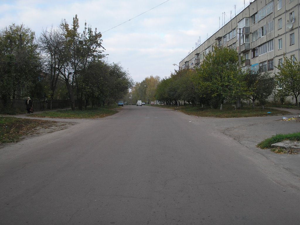 вулиця Довженко