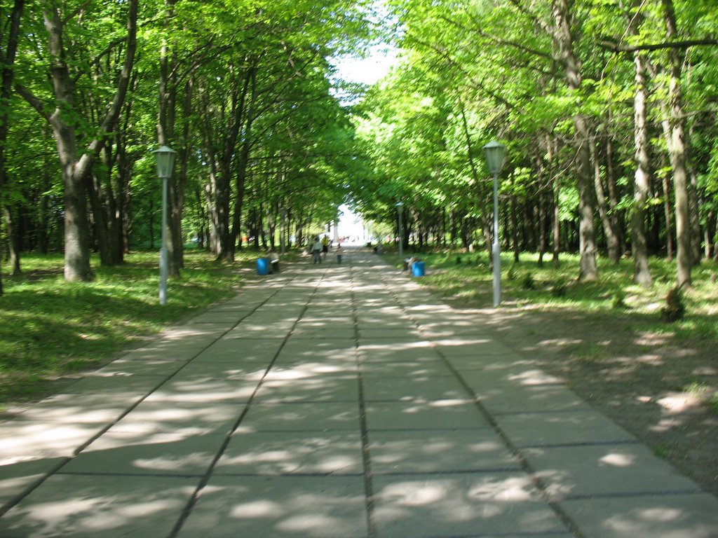 аллея славы