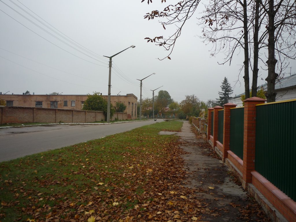Дорога к Сахзаводу