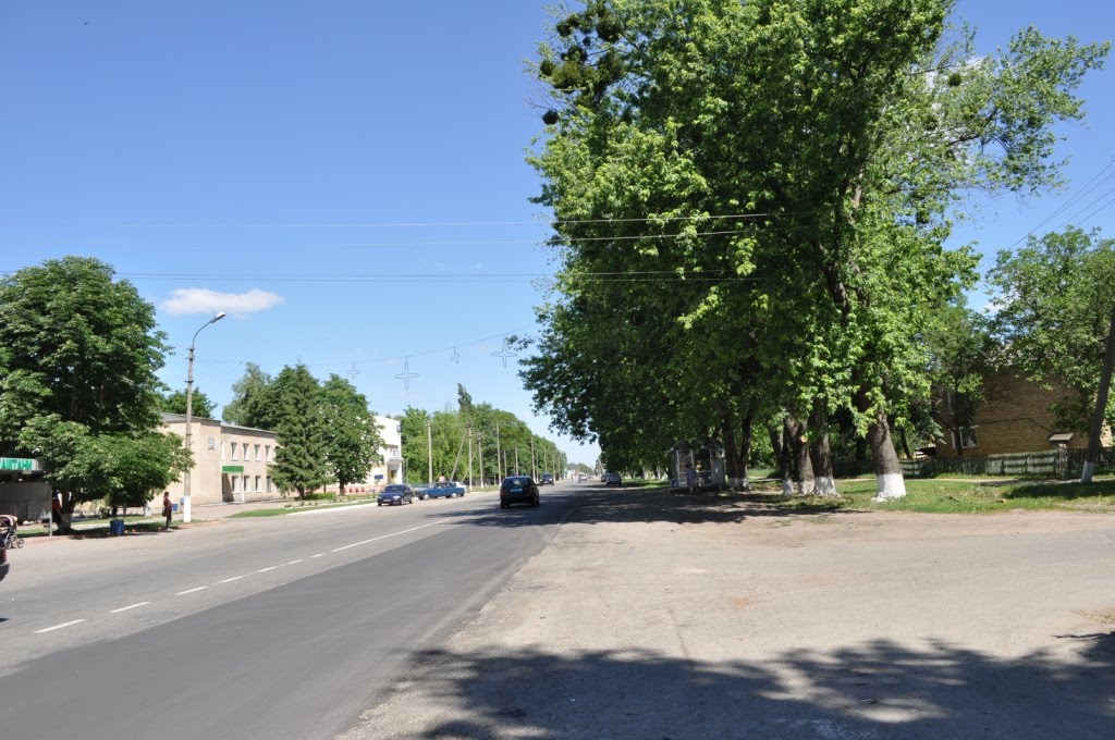 Каштани