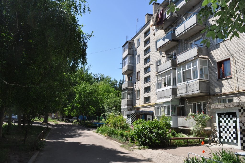 вул. Каштанова Алея, буд. 2