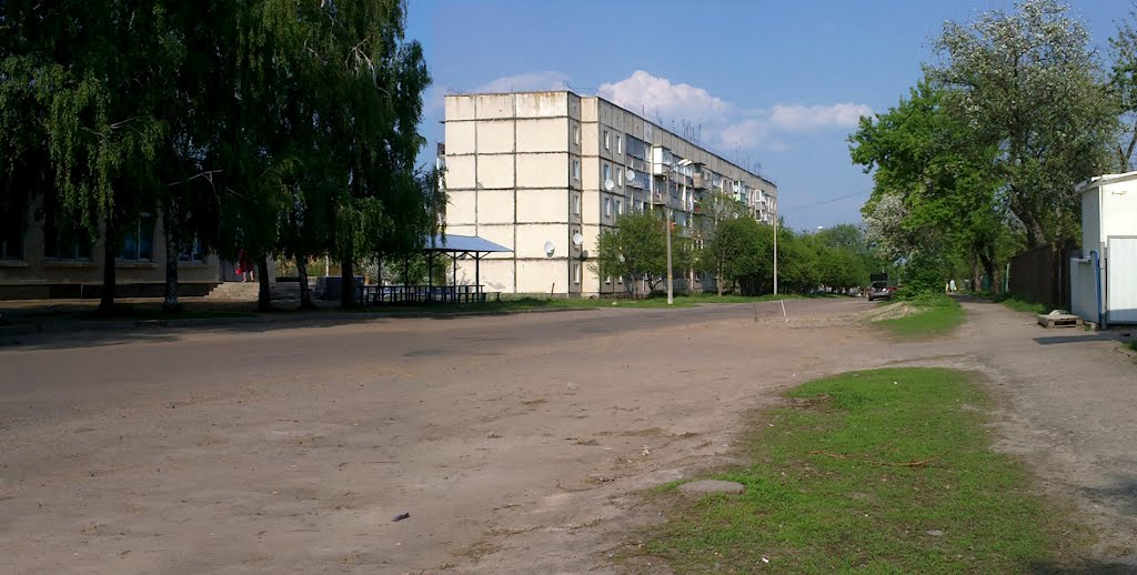 Haharina St.