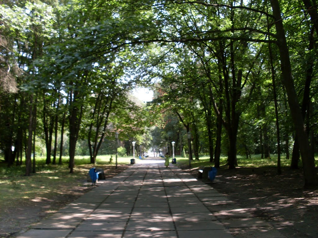 Алея к мемориалу
