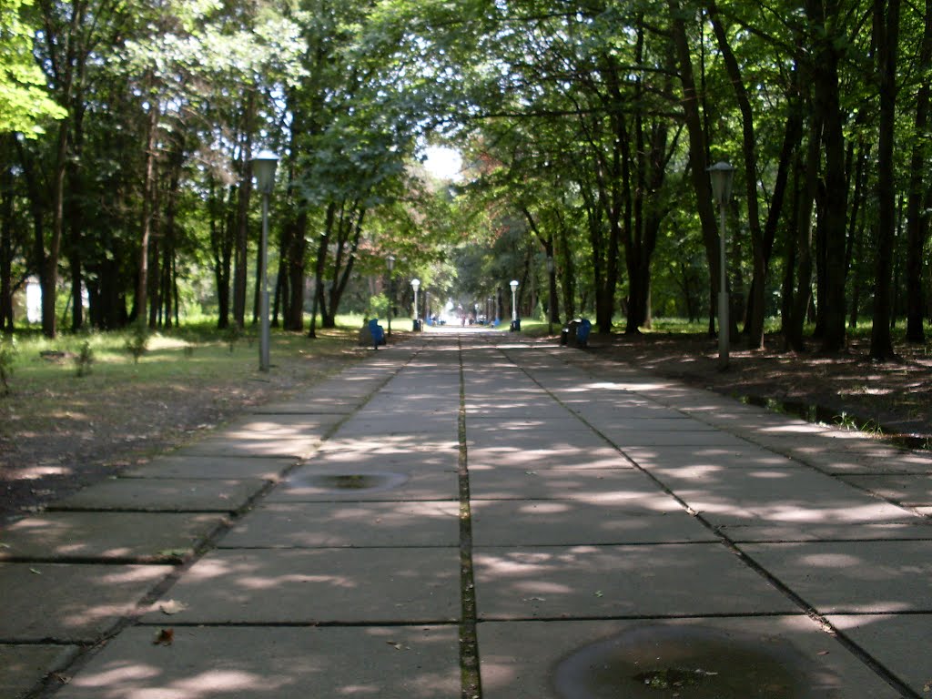 Алея в парке