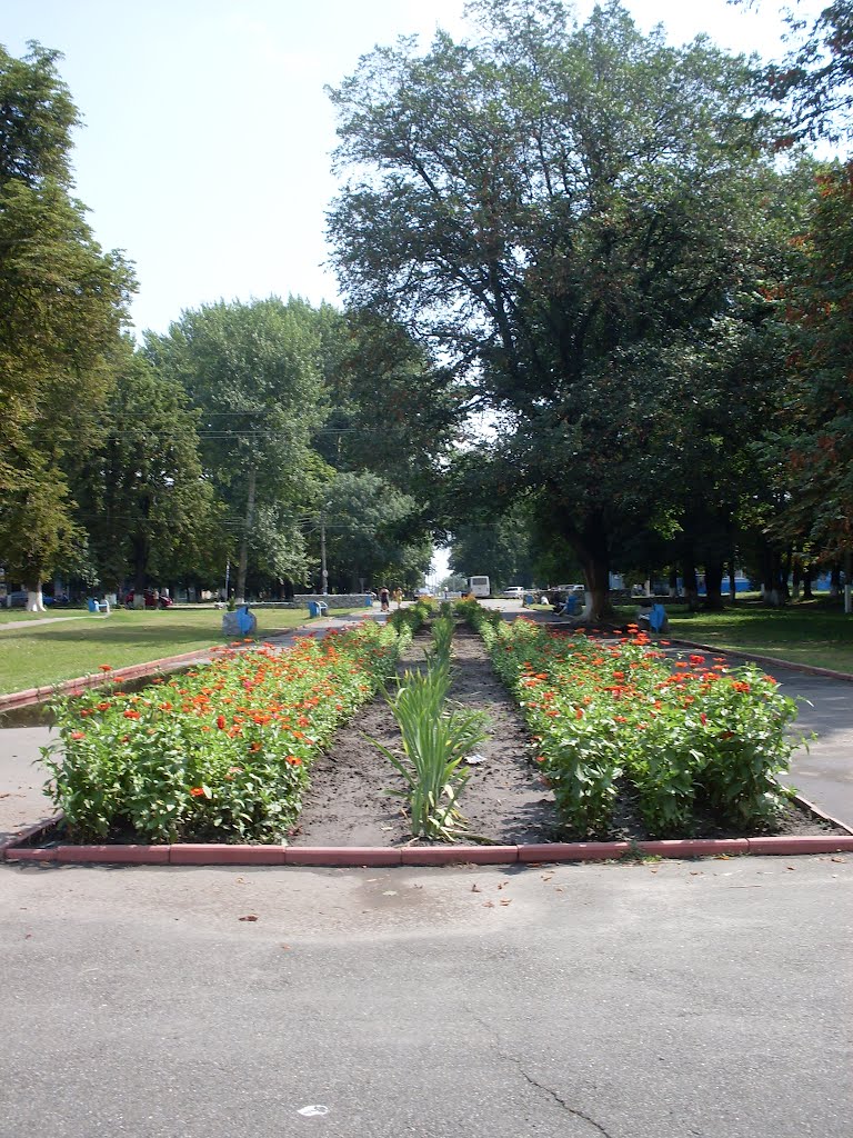 Клумба
