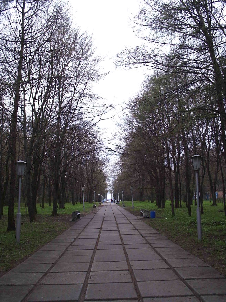 Алея Слави