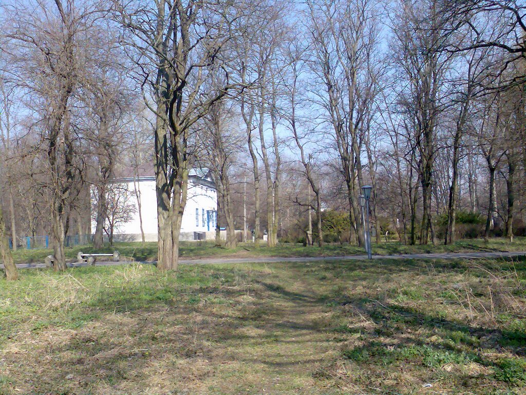 В парку