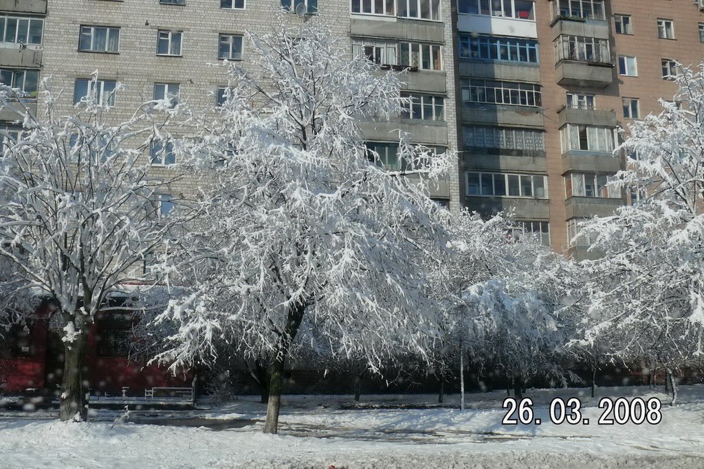 Boyarka. Winter? Spring!