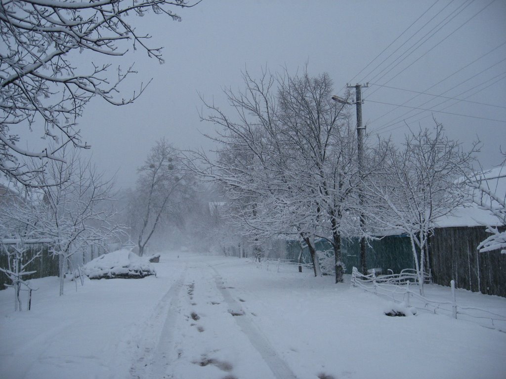 Боярка. Зима на Парковій вулиці
