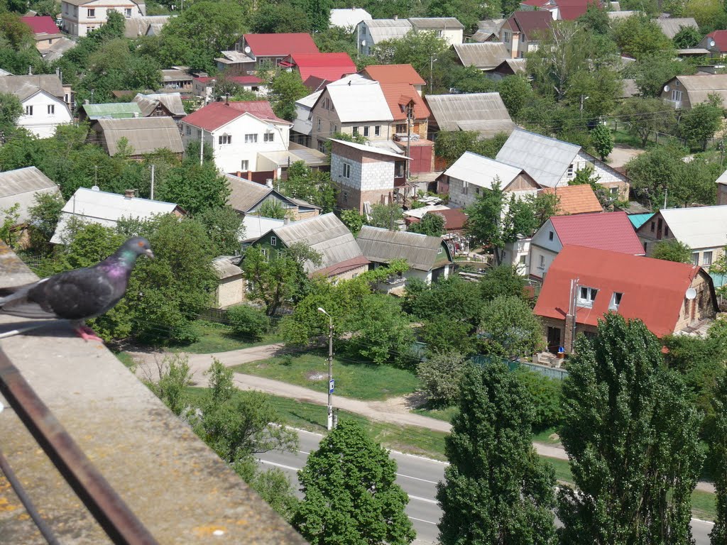 Наша Боярка - 10