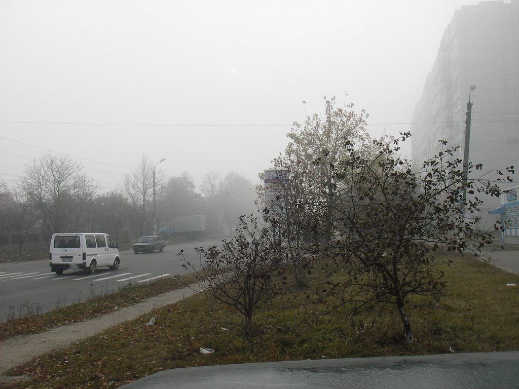 Утро в Боярке/Morning Boyarka