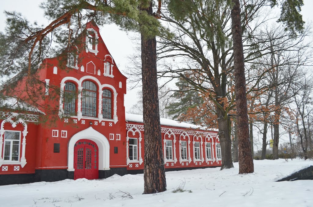 Земская школа в Боярке. 1911-13 гг. / Zemstvo school in Boyarka. 1911-13 years
