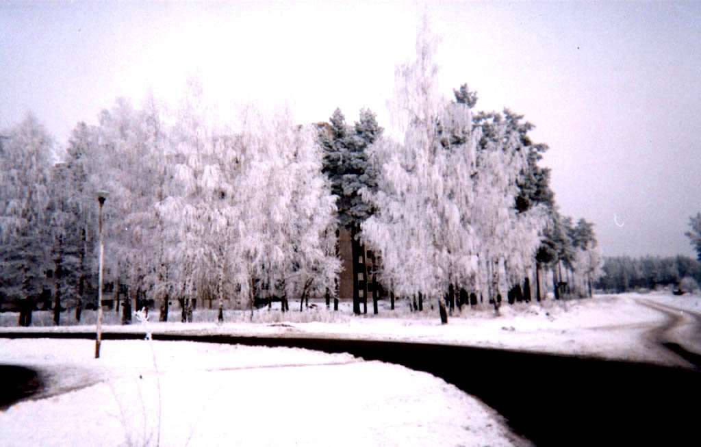 Slavutych46 : paysage dhiver à la sortie de Slavutych en février 1999