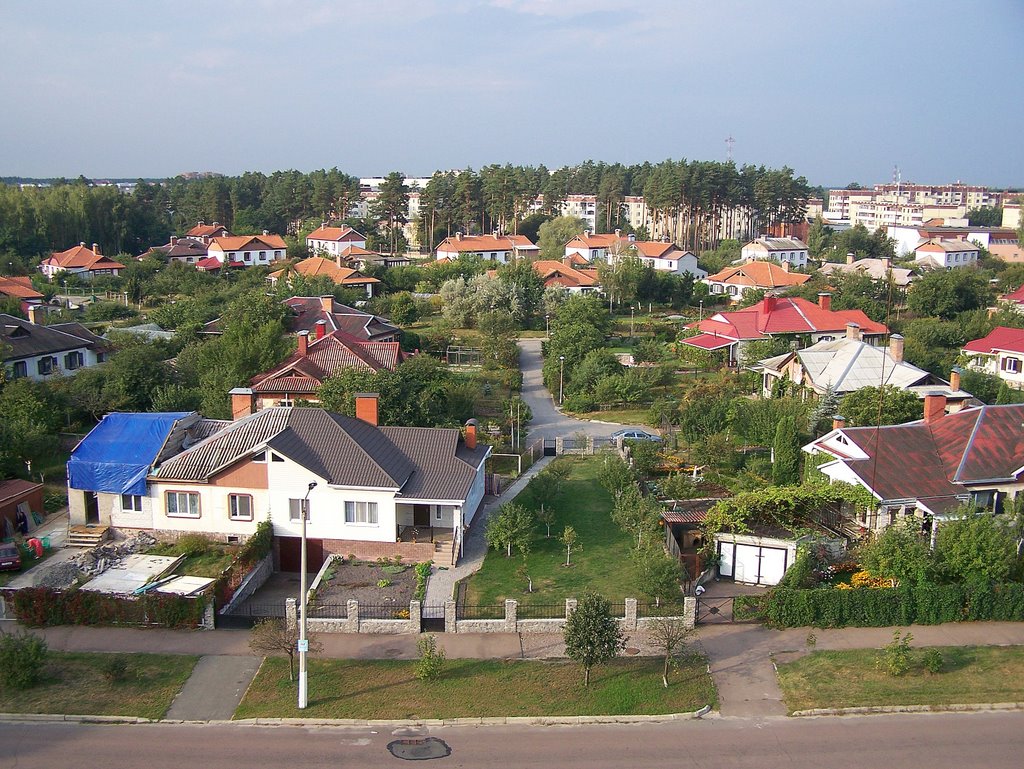 Летнее утро