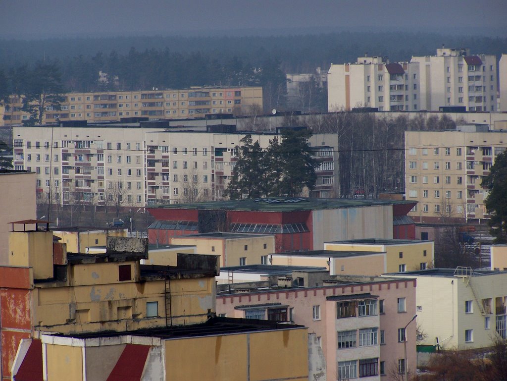 С птичьего полета...