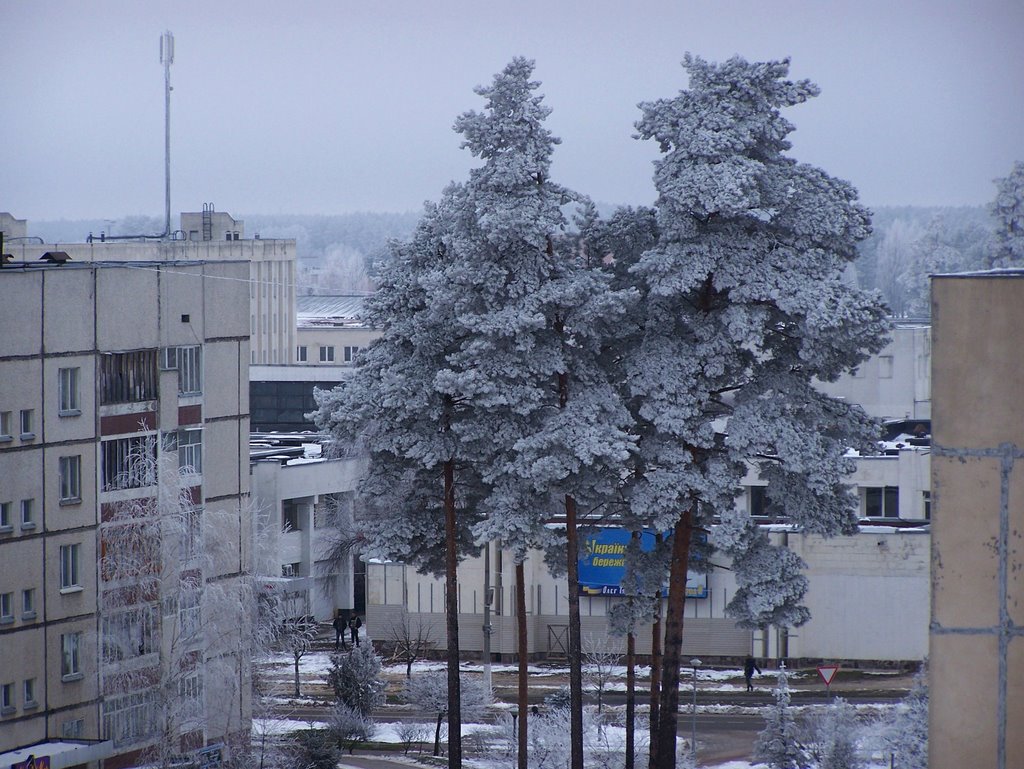 Зима