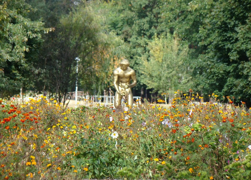 Парк в Славутиче / Park in Slavutych