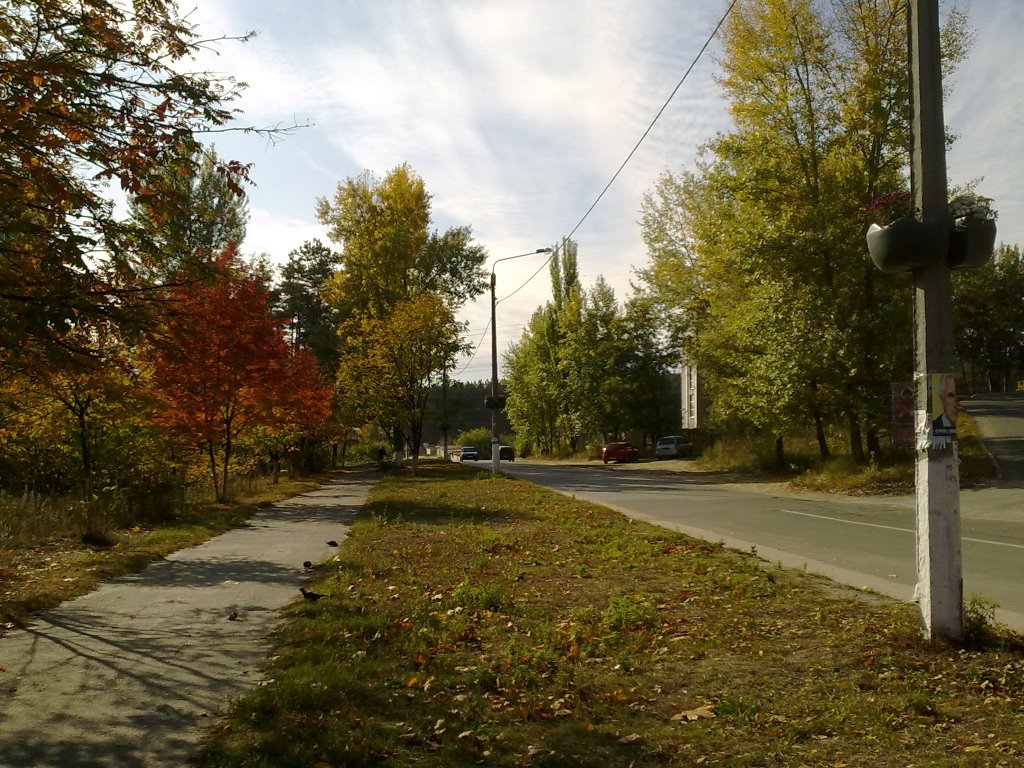 Kurguzova St.