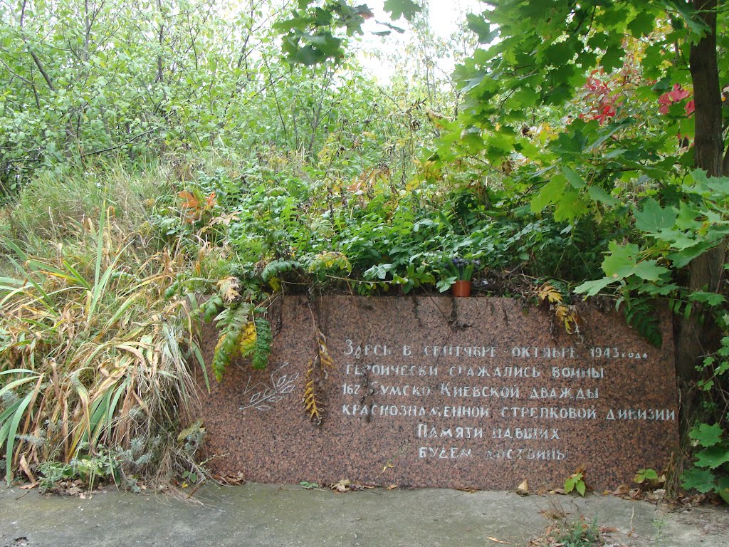 Они сражались за Родину / They battled for Motherland