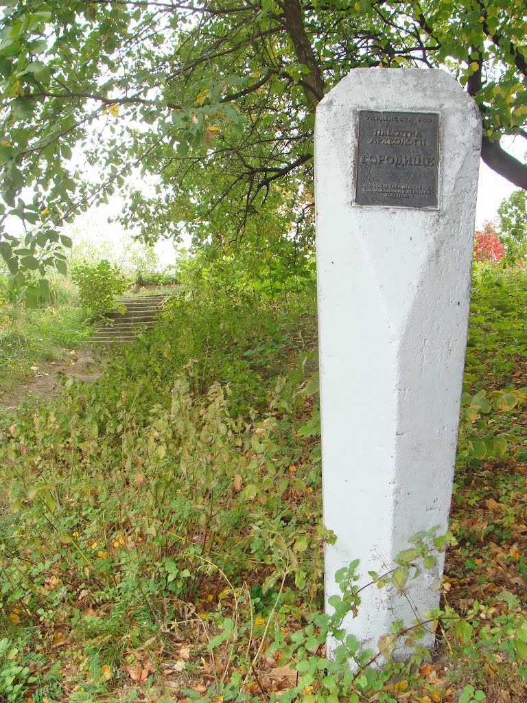 Древнерусский детинец / Old Russian site of ancient settlement