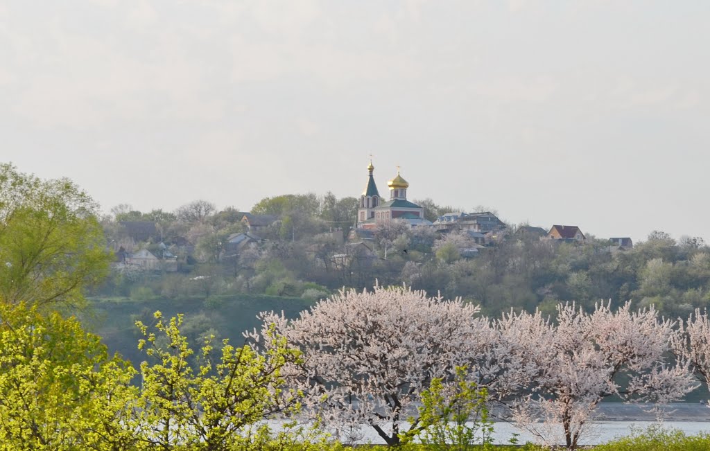 Весна в Вышгороде / Spring in Vyshgorod