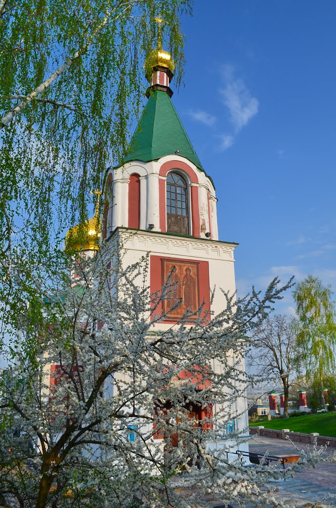 Весна в Вышгороде / Spring in Vyshgorod