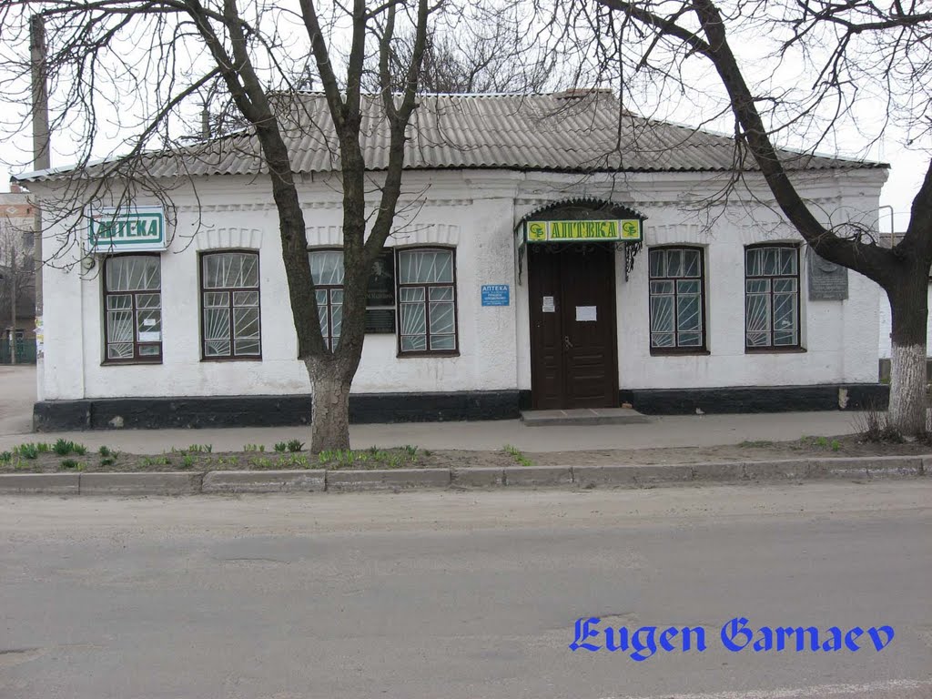 Museum of Lev Matsievich. (Комната-музей Льва Мациевича)