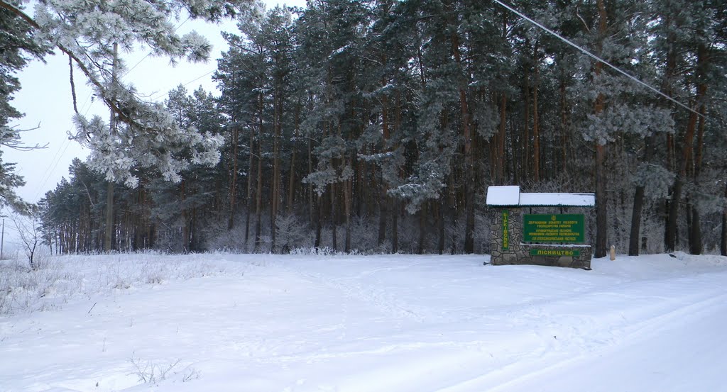 граница лесничеств