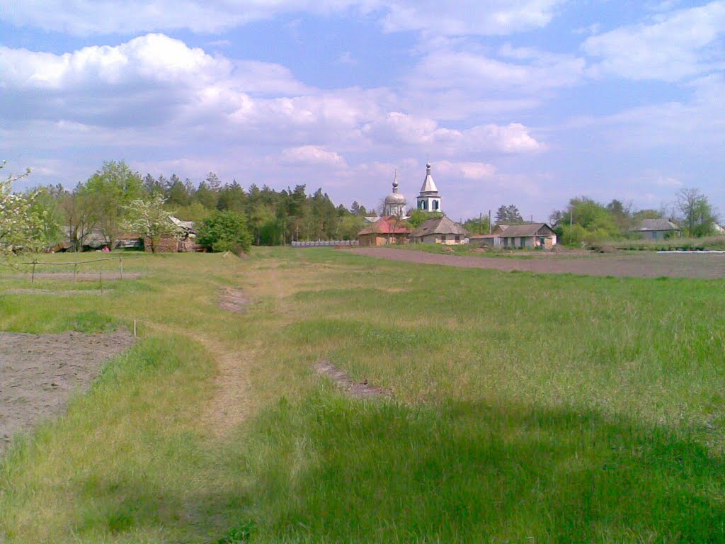 В Борках