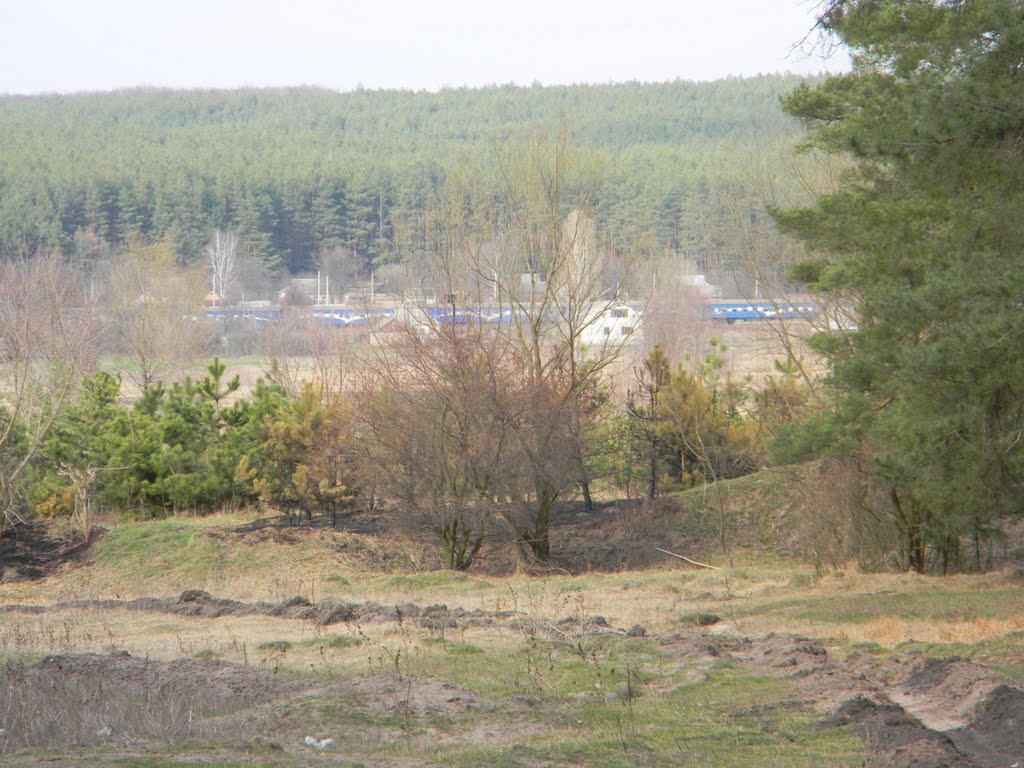 Рассадник