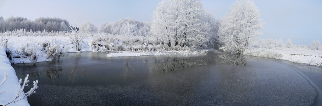 Красота