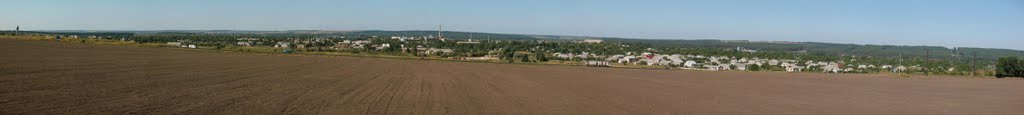 Панорама Александровки с кургана